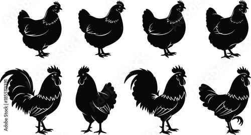 PrintBlack chicken silhouette collection, rooster and hen bird set, farm animal silhouettes, poultry livestock, isolated on white background, vector farm illustration.