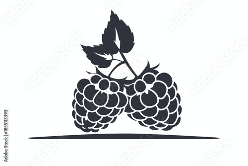 Three sketched raspberries with leaves form a simple black outline against a white background