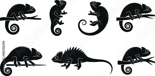 PrintBlack chameleon silhouette collection, exotic lizard reptile set, tropical animal silhouettes, iguanas on branches, isolated on white background, vector wildlife illustration.