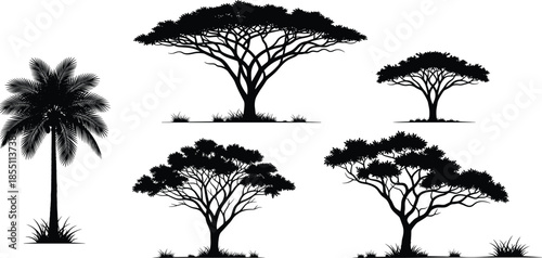 PrintBlack silhouette collection of African acacia and tropical palm trees, safari landscape elements, nature forest plants, isolated on white background,
