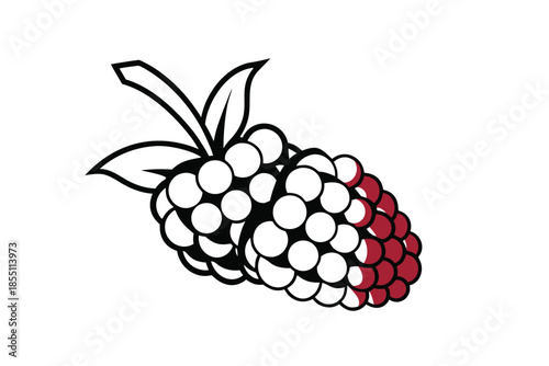 Two Dark Gray Raspberries with Leaves Simple Design on White Background