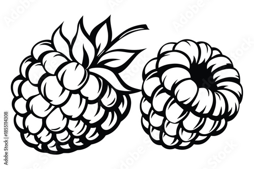 Two monochrome raspberries are pictured closely, with leaves and intricate berry details shown clearly