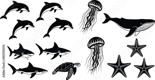 PrintSet of black and white vector silhouettes featuring marine animals like dolphins, sharks, whales, jellyfish, sea turtles, and starfish.