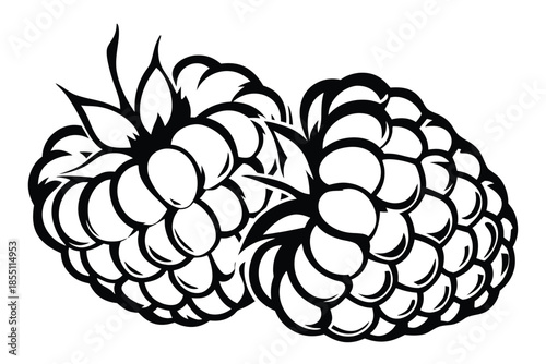 Two stylized blackberries intertwine with elegant leaves shown in a bold black monochrome color scheme