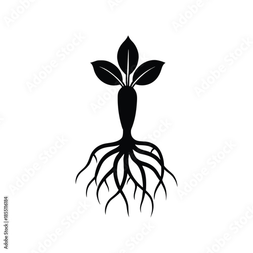 Illustration of a healthy plant with a strong root system, representing growth and natural vitality