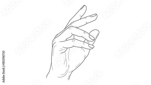 Elegant Hand Line Art Drawing, Delicate Fingers Gesture, Minimalist Human Form Illustration