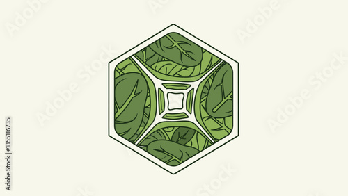 Green Hexagon Geometric Shape with Spinach Leaves Inside