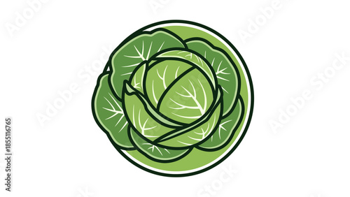 Green Cabbage Icon Isolated on White Background, Fresh Vegetable Illustration