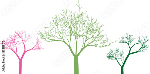 Three different colored bare trees standing tall against a transparent checkered background, showcasing their distinct branch structures