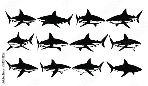 Collection of shark silhouettes in various swimming poses captured from different angles showcasing predatory ocean life and movement