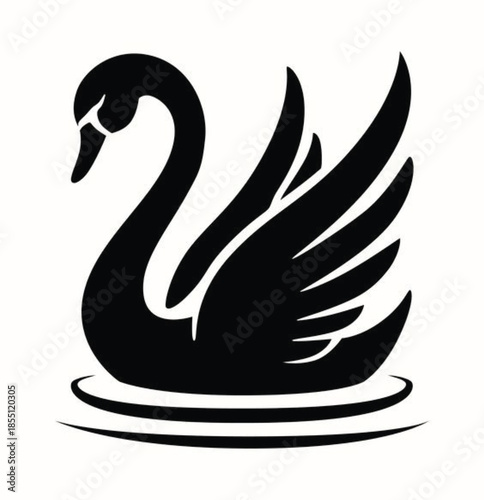 black swan vector