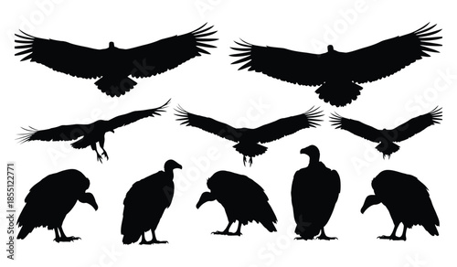 Vulture bird silhouettes collection flying and standing poses black vector illustration isolated on white background