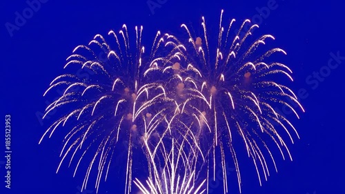 Symmetrical white fireworks burst dramatically in a high-contrast, isolated graphic style against the deep royal blue background, conveying a festive mood.