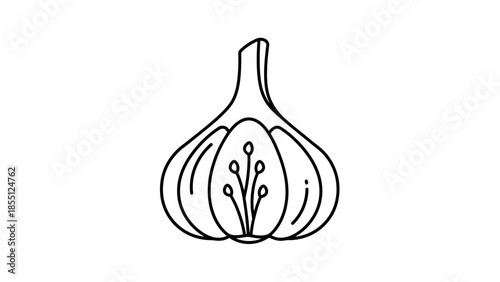 Hand-drawn Garlic Bulb Icon - Simple Outline Illustration