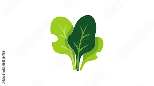 Fresh Green Spinach Leaves, Healthy Food, Organic Greens, Healthy Eating