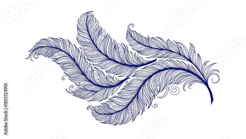 Elegant Dark Blue Feathers Swirls Illustration