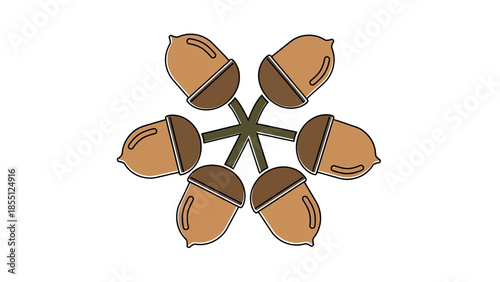 Radial Arrangement of Acorns on White Background