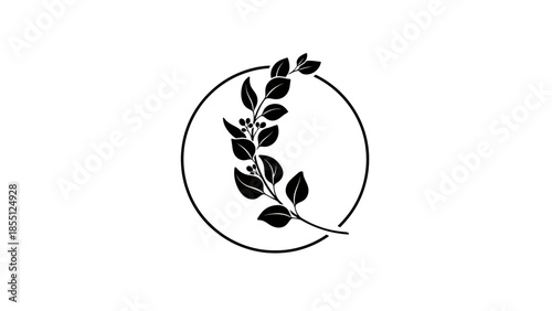 Minimalist botanical branch with berries inside a circle, black and white logo design