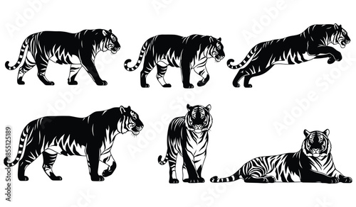 Tigers black silhouettes set various poses big cats wildlife collection predator animal nature fauna safari zoo powerful vector illustration