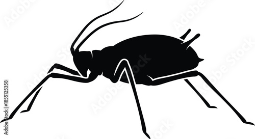 Aphid Silhouette Vector Illustration on White Background