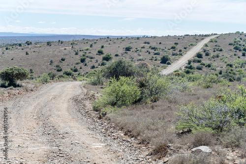 R400 dirt road in plains with sparse Cape Thicket vegetation, near Bracefield, Karoo, South Africa