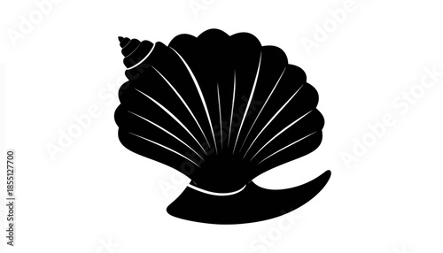 Black and white vector illustration of a seashell on a white background.
