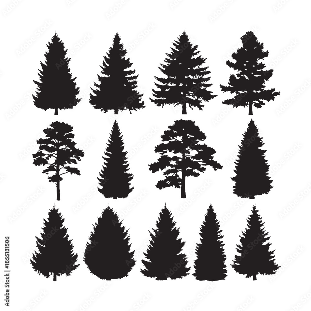 Fototapeta premium Pine and Coniferous Tree Silhouettes Collection