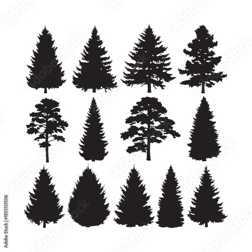 Pine and Coniferous Tree Silhouettes Collection