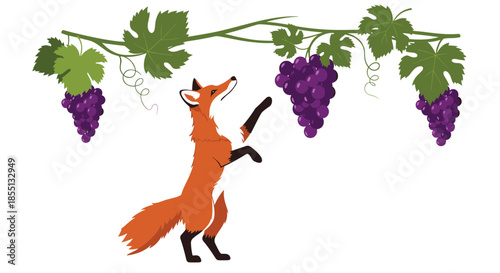 Artistic illustration of a clever orange fox standing on its hind legs to reach clusters of ripe purple grapes hanging from a leafy vine.