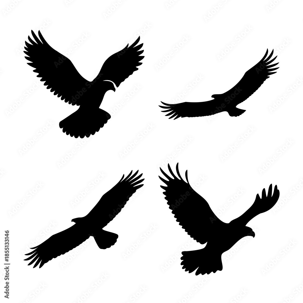 Obraz premium Dynamic black silhouettes of majestic eagles in various flight poses against a clean white background