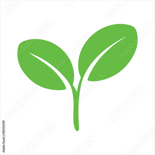 A vibrant green sprout with two rounded leaves symbolizing new growth