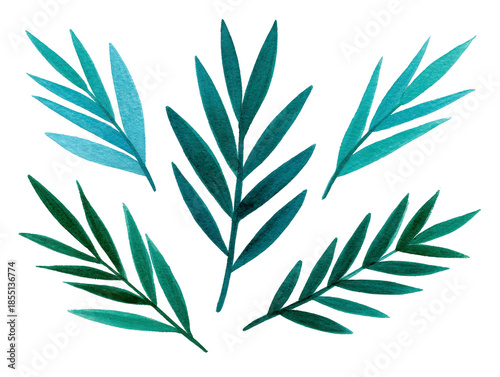 Watercolor green and blue leaf branches botanical illustration isolated on transparency background natural foliage elegant fresh decorative hand painted tranquil artistic