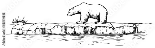 Polar Bear Standing on Ice Floe - Vector Wild Arctic Animal Sketch