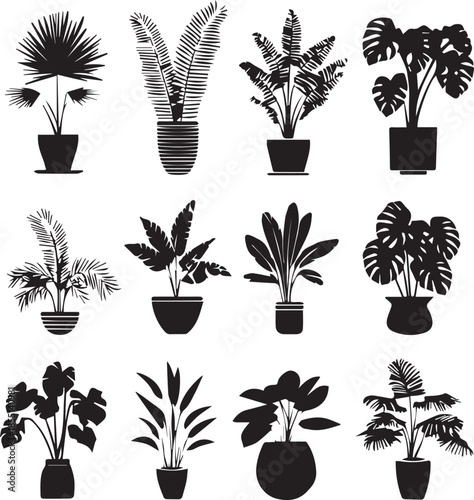 Black silhouette potted tropical houseplants collection isolated on white background