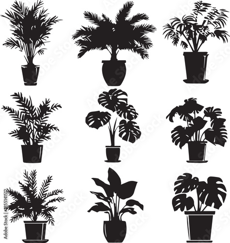 Black silhouette potted tropical houseplants collection isolated on white background