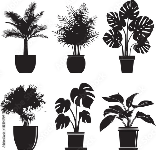 Black silhouette potted tropical houseplants collection isolated on white background