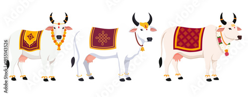 white cow decorated for festival