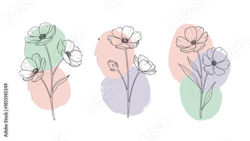 Set of Three Minimalist Line Art Flowers with Pastel Blobs on Isolated White Background