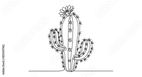 Tall desert cactus with a blooming flower on its head is rendered in a minimalist continuous line drawing illustration.