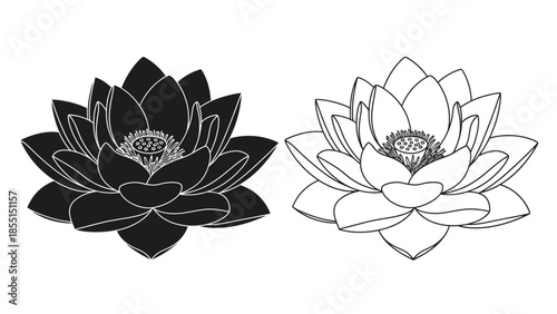 Two lotus flowers in contrasting black and white line art style