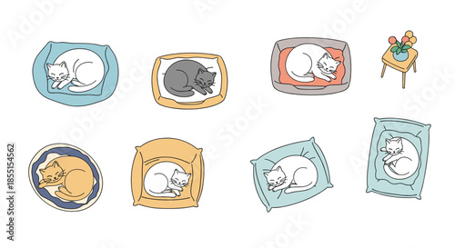 Collection of cute hand drawn cats sleeping peacefully in colorful beds and on soft pillows against a clean white background.