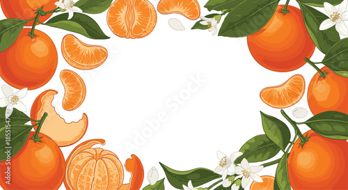 Elegant frame border made of ripe oranges peeled segments and white orange blossoms with green leaves around a white center.