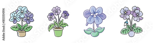 African violet plant care guide how to grow african violets indoor houseplant flower tips