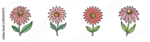 Watercolor echinacea flower illustration, floral design element for spring and summer botanical art