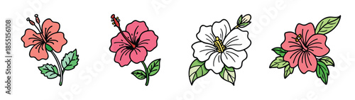Beautiful hibiscus flower drawing illustration vector design tropical floral bloom clip art graphic element