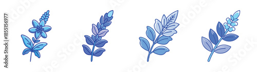 Illustration of blue lavender floral elements for graphic design and decoration projects and art