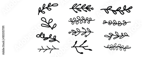 Collection of hand drawn leaf and branch illustrations