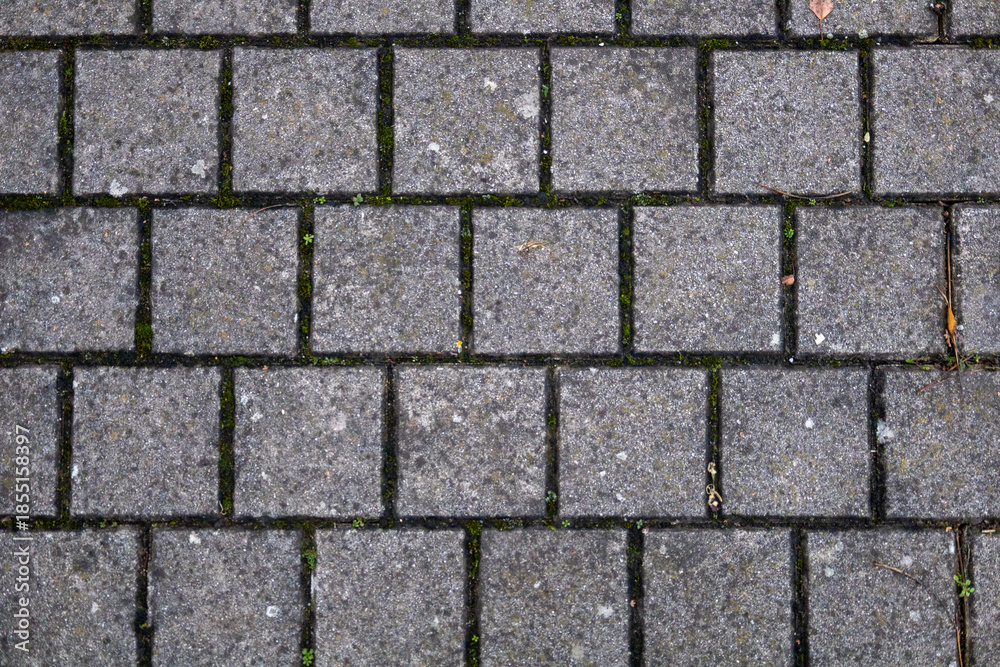 Naklejka premium Gray stone paving blocks with moss between tiles, sidewalk pavement texture, top view background.