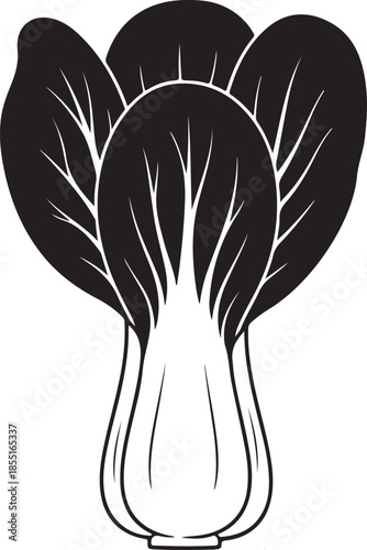 Black and white illustration of bok choy vegetable chinese cabbage greens