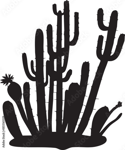 Cactus grand silhouette